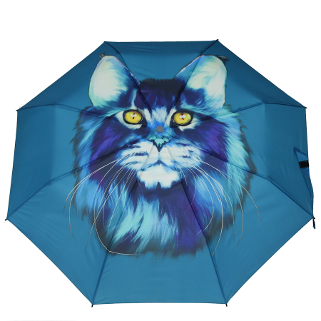 Parasol kot na niebieskim