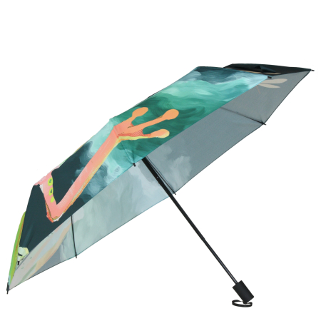 Parasol żaba na zielonym