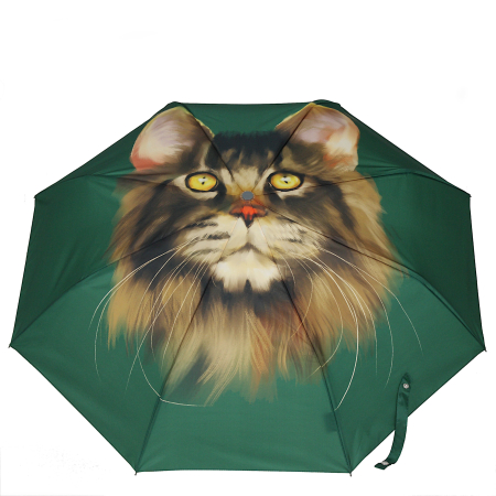 Parasol kot na zielonym