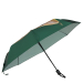 Parasol kot na zielonym